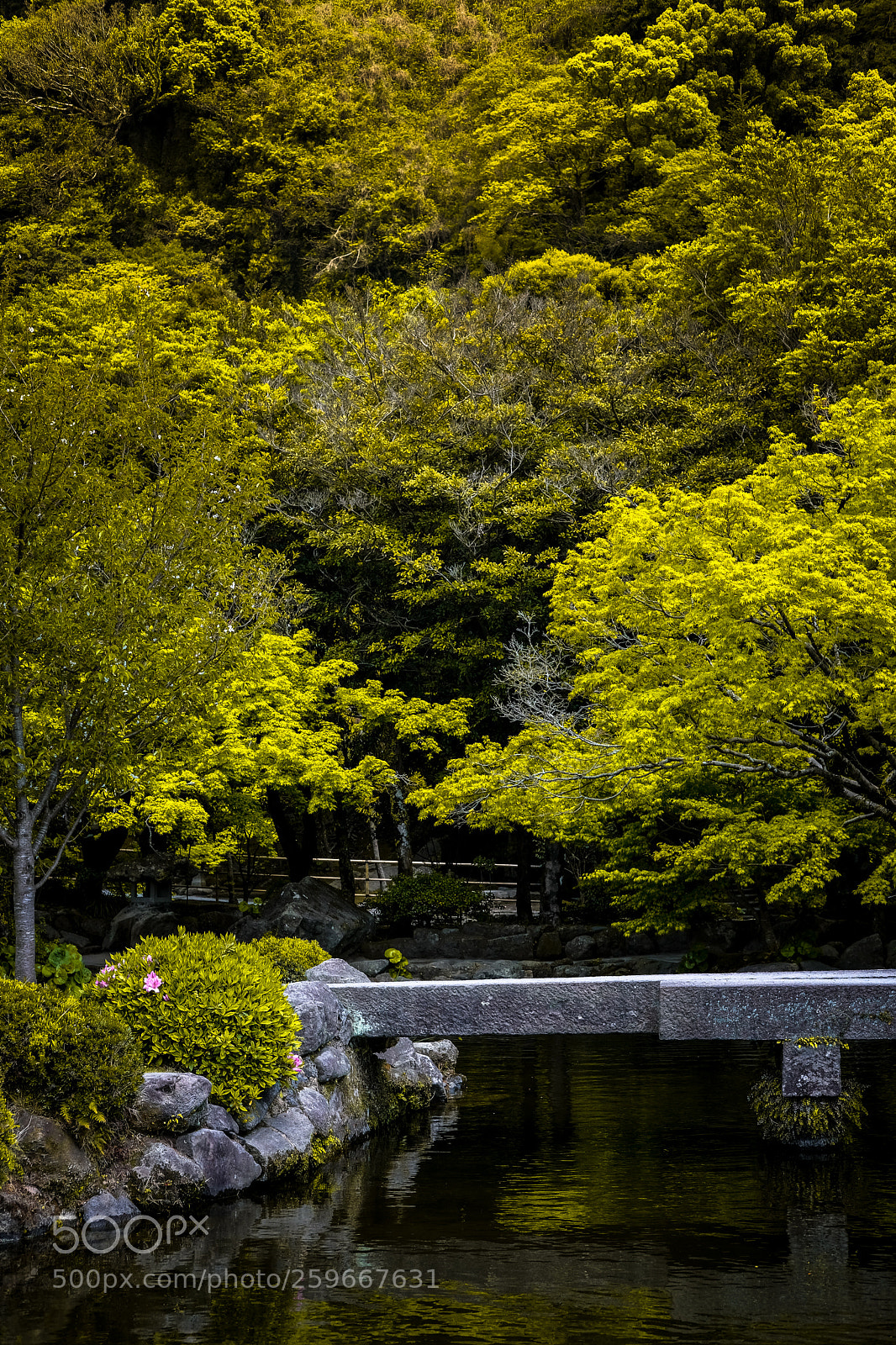Fujifilm X-T20 sample photo. Japan nature 2 photography