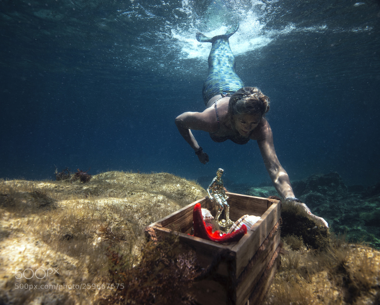 Nikon D800E sample photo. Mermaid trasure photography