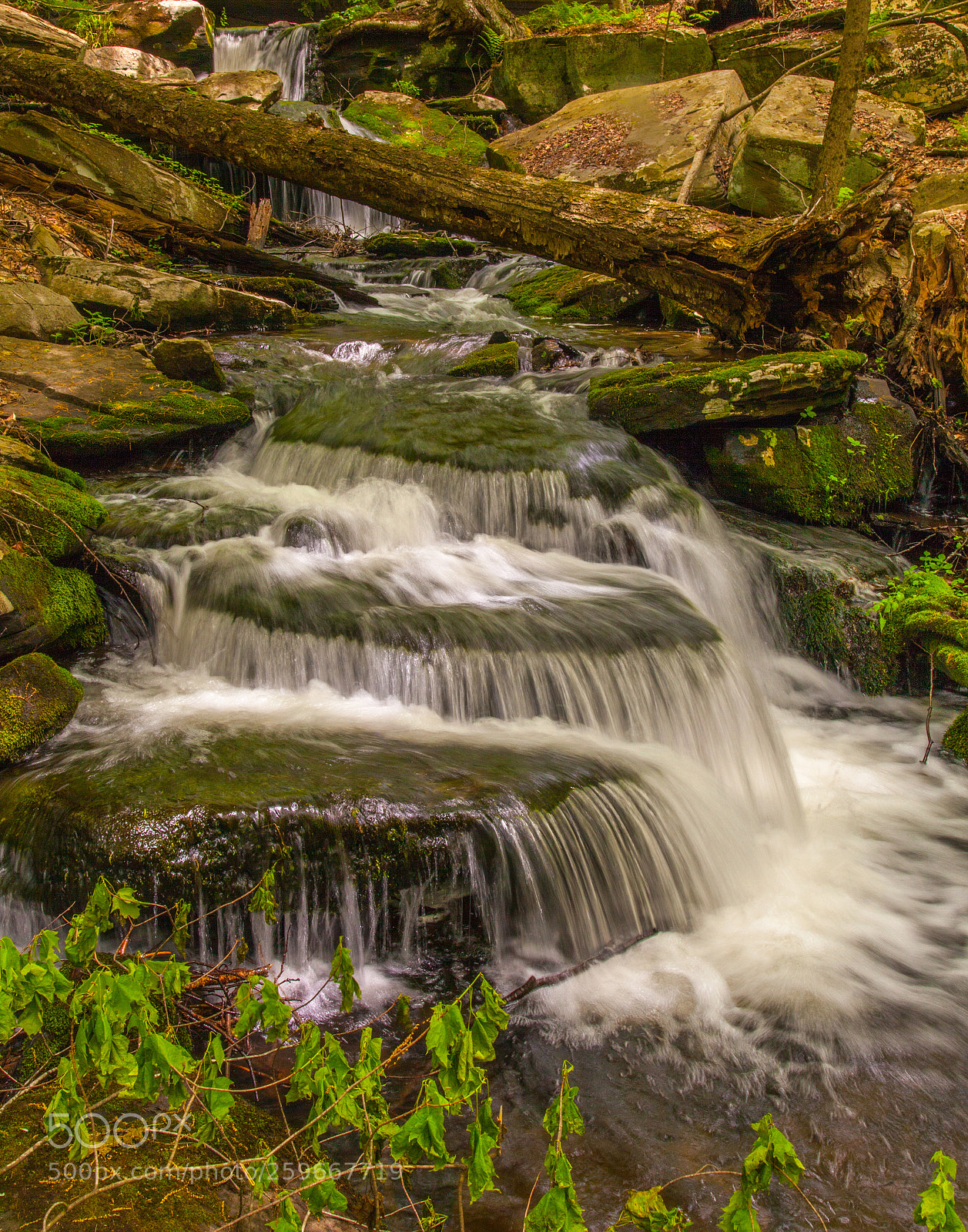 Canon EOS 5D Mark II sample photo. Wolf brook cascade photography