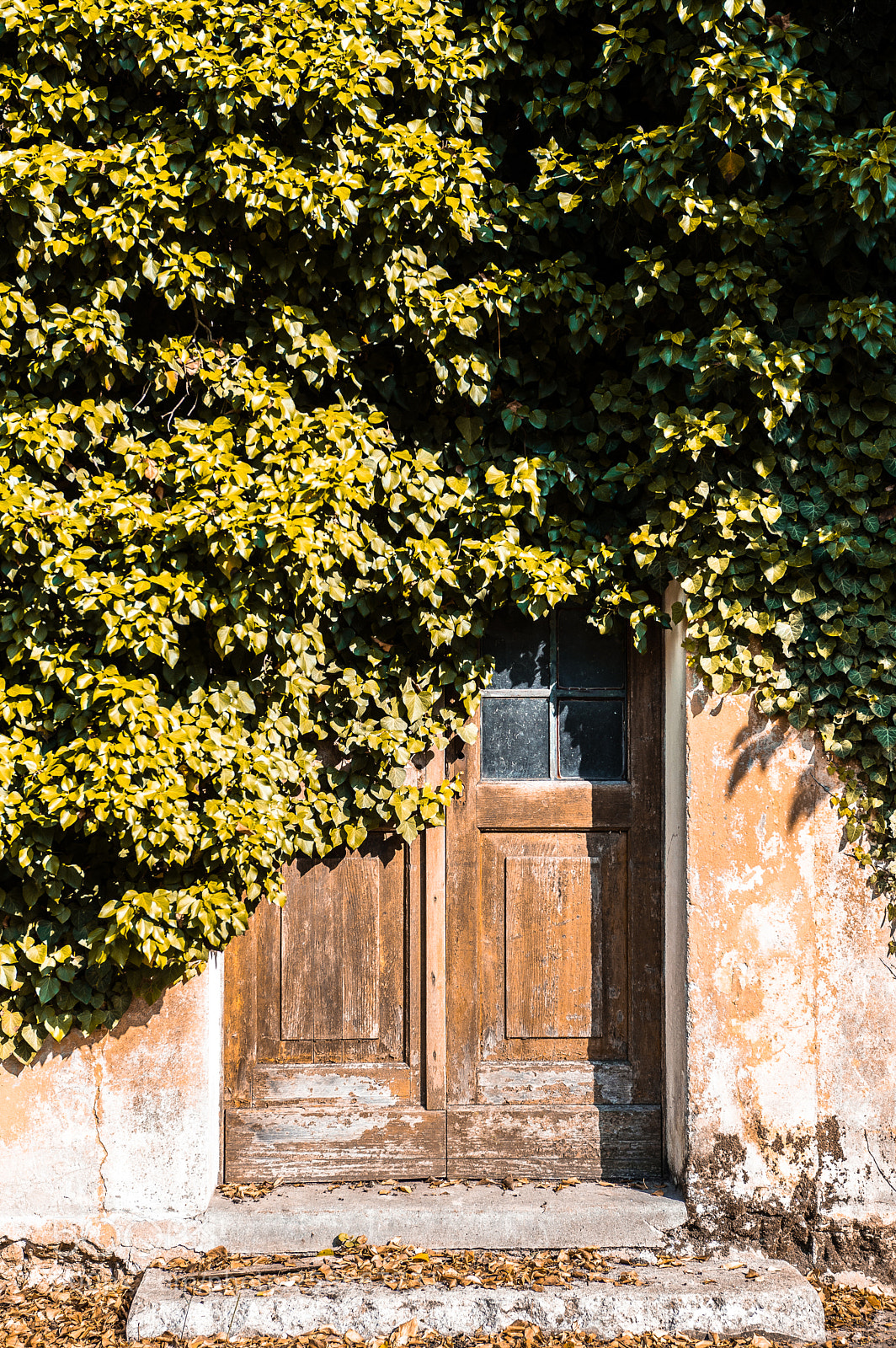 Nikon D3200 sample photo. Door to nowhere photography