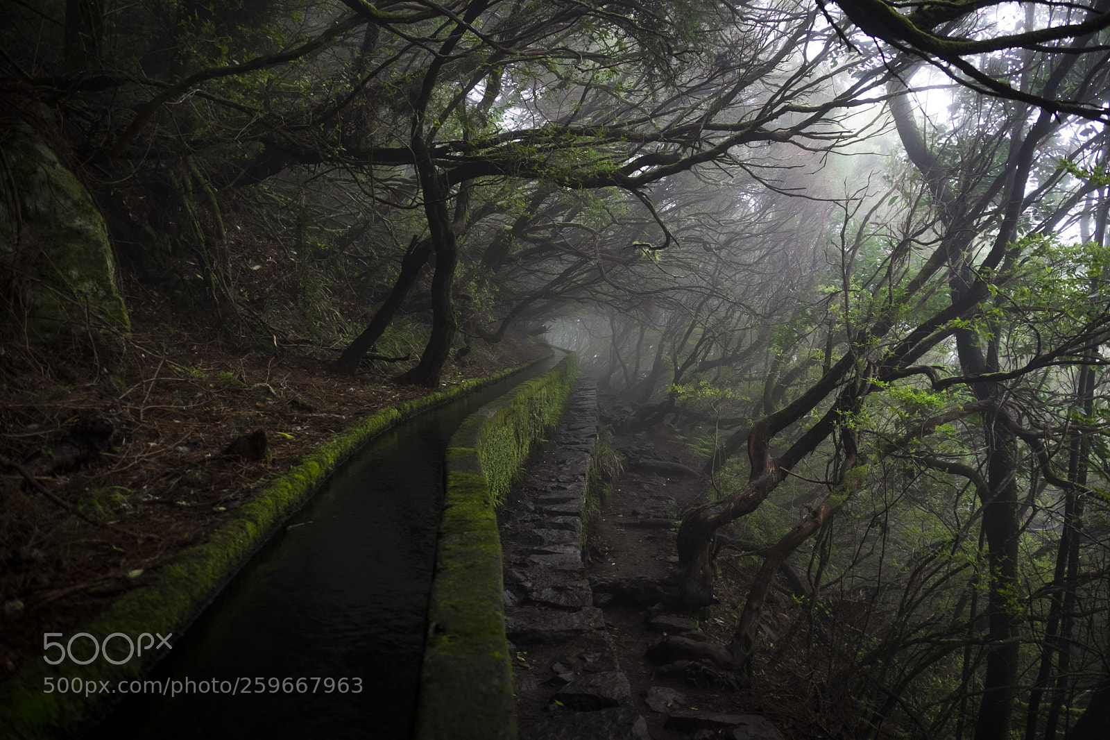 Fujifilm X-Pro2 sample photo. Way to 25 fontes photography