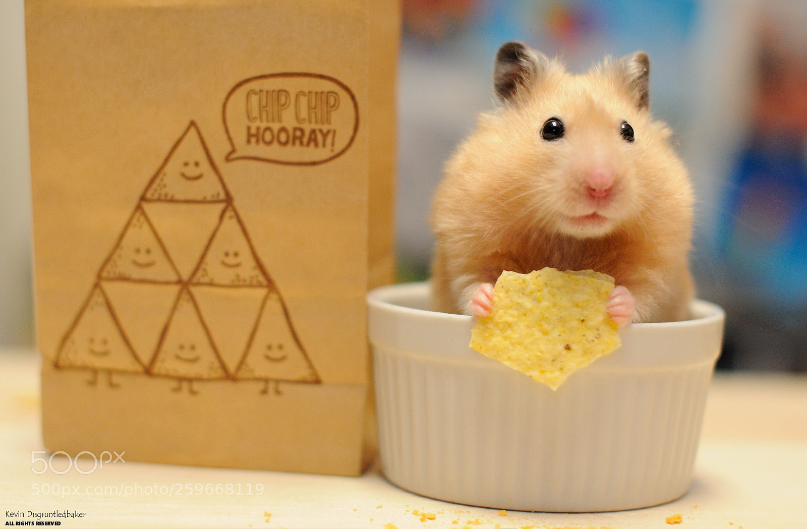 Nikon D90 sample photo. Bag of chips photography