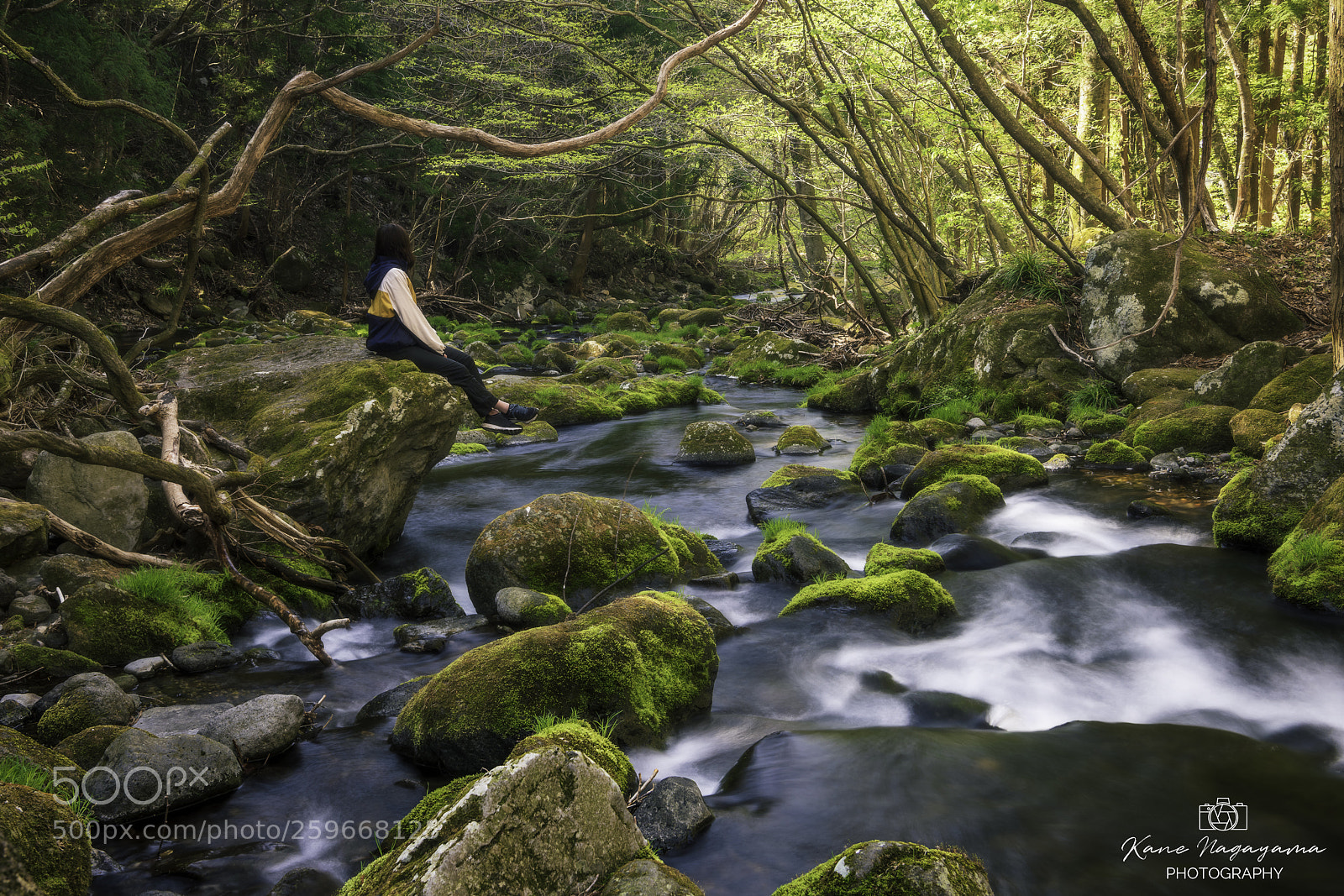 Nikon D810 sample photo. Stream in the fresh photography