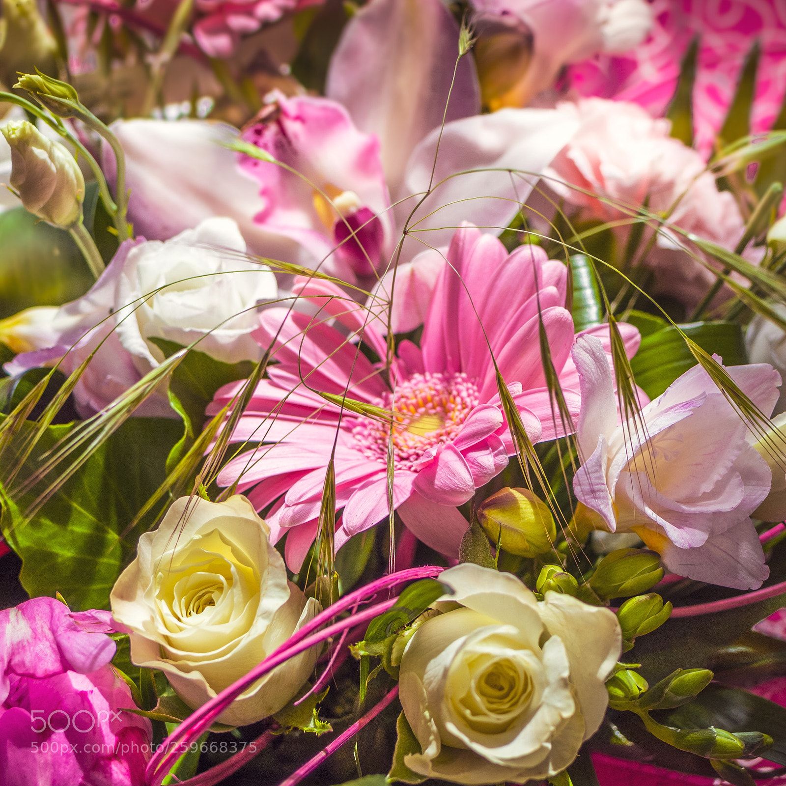 Nikon D7500 sample photo. Happy mothers day! photography