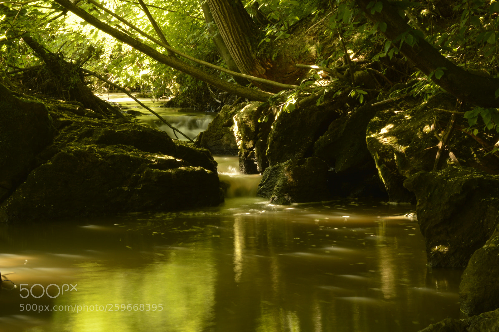 Nikon D3200 sample photo. Rapids in the forest photography