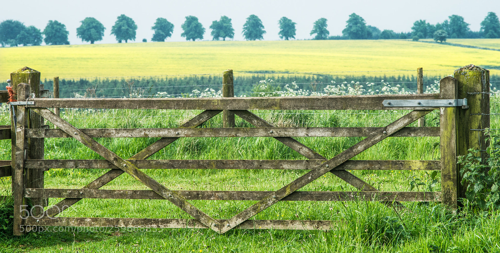 Sony Alpha DSLR-A850 sample photo. Over the gate, cotswolds photography