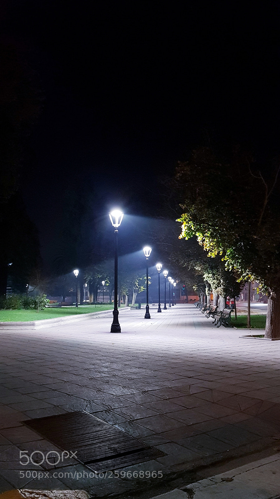 Samsung Galaxy S8+ sample photo. Untitled photography