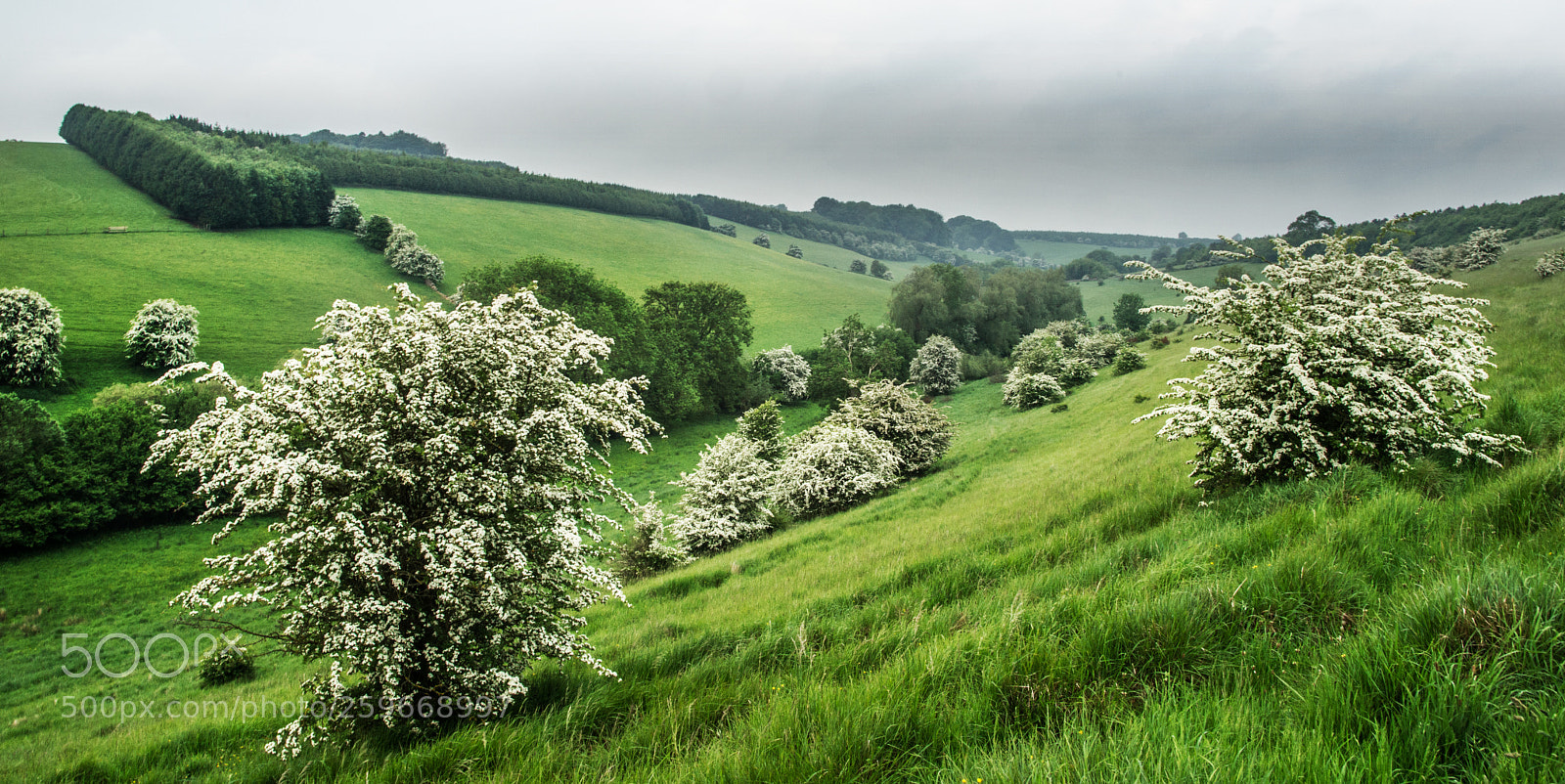 Sony Alpha DSLR-A850 sample photo. Gathering storm over the photography