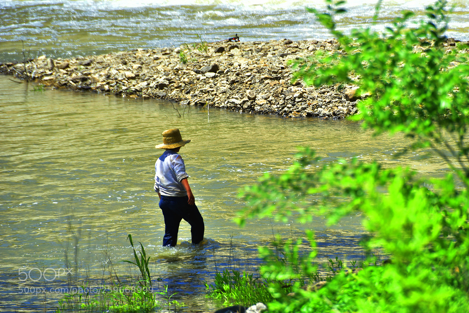 Nikon D750 sample photo. Tom sawyer photography
