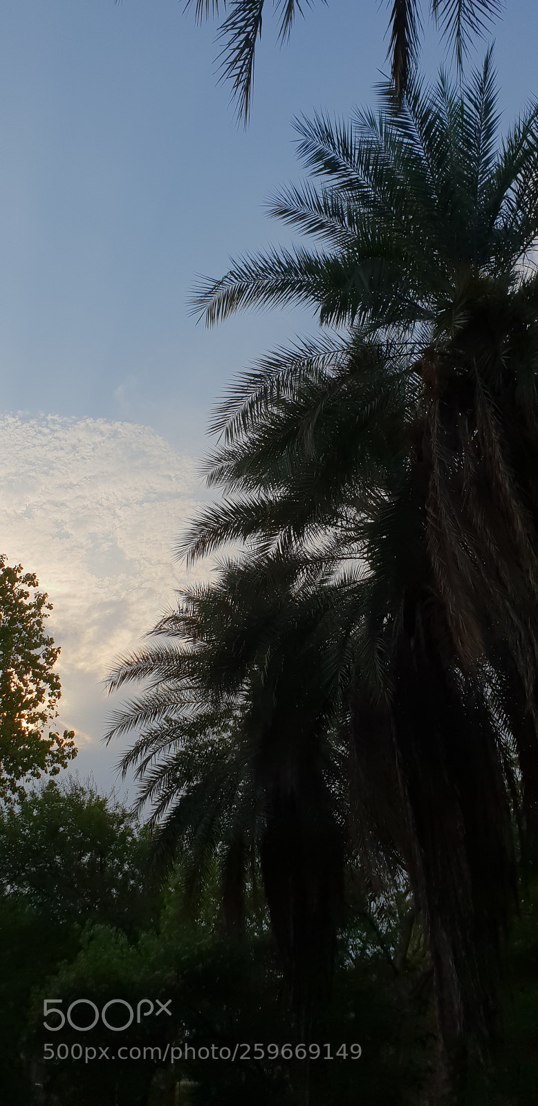 Samsung Galaxy S9+ sample photo. Untitled photography