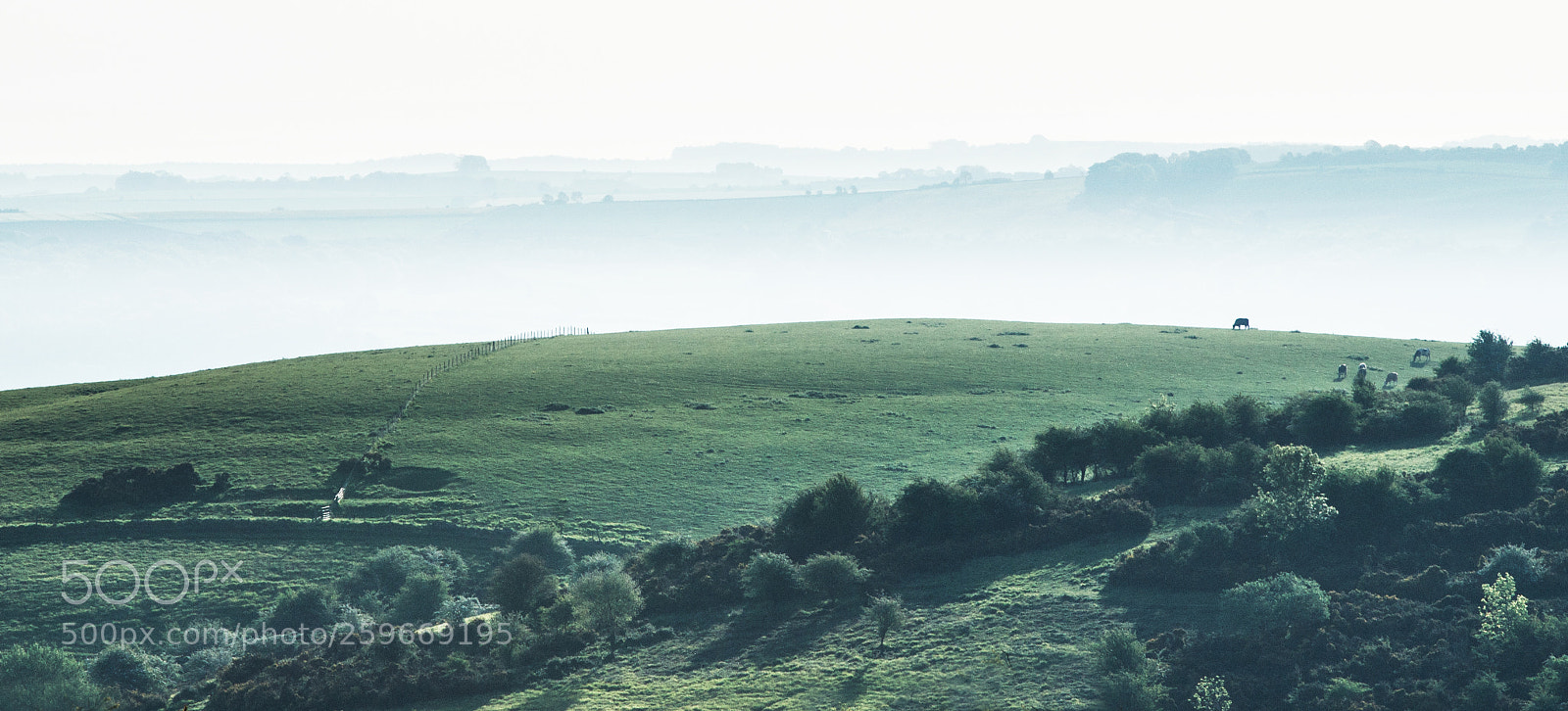 Sony Alpha DSLR-A850 sample photo. Distant hills, cotswolds photography