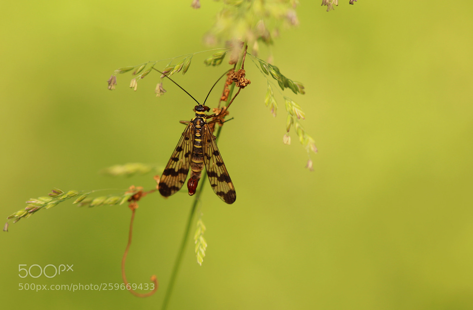 Canon EOS 77D (EOS 9000D / EOS 770D) sample photo. In the forest! photography