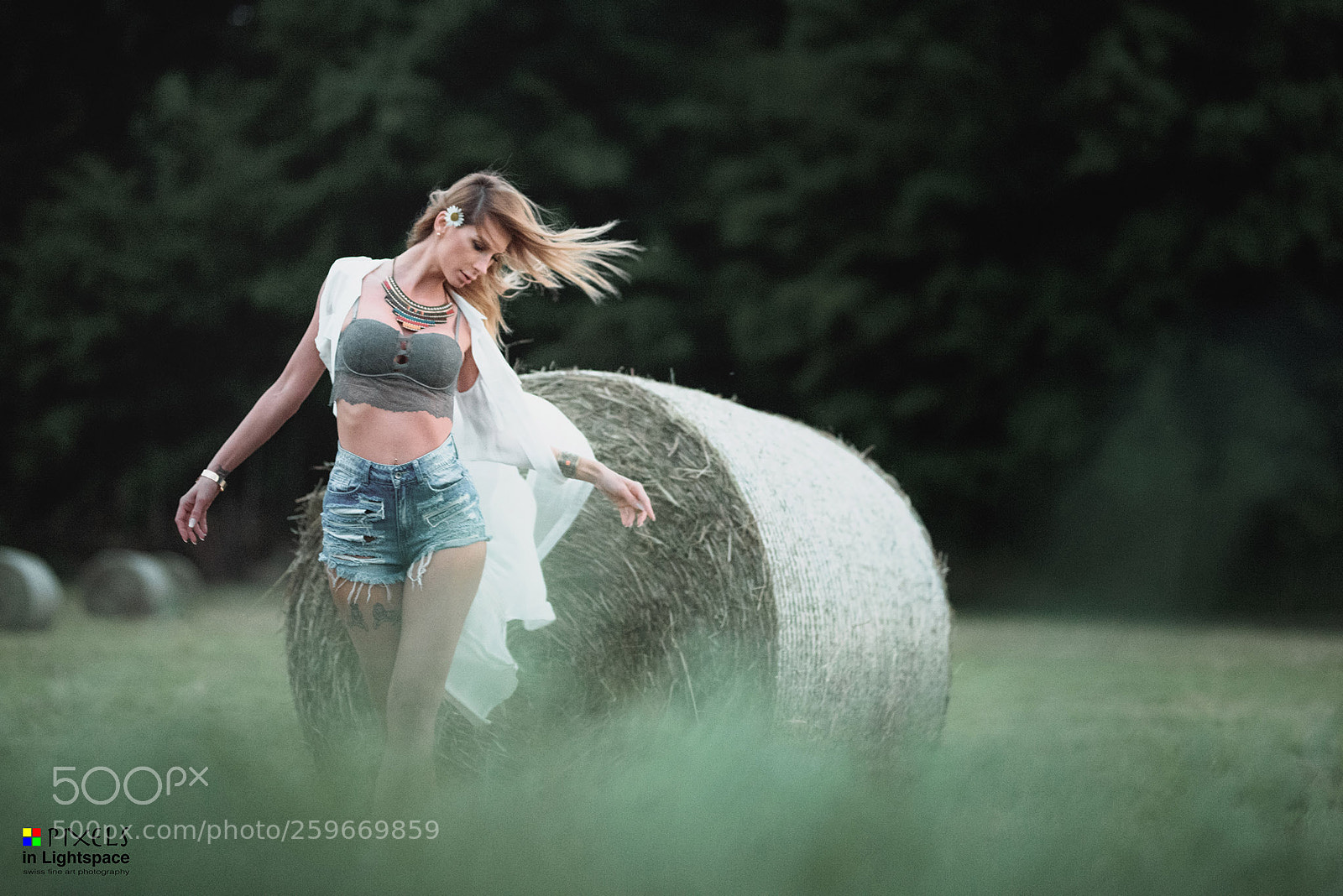 Nikon D810 sample photo. Let the wind blow photography