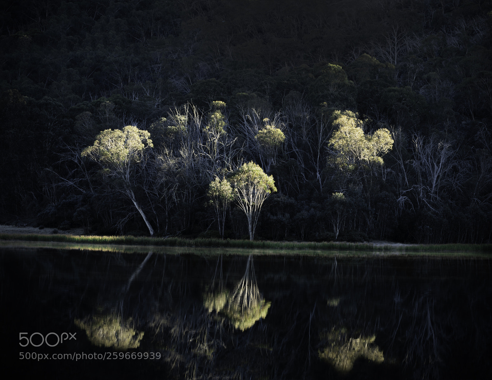 Nikon D500 sample photo. First light photography