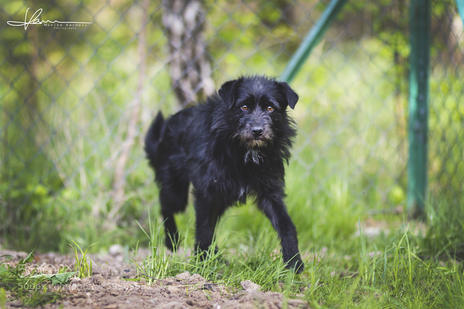 Nikon D3200 sample photo. Mariuszek photography