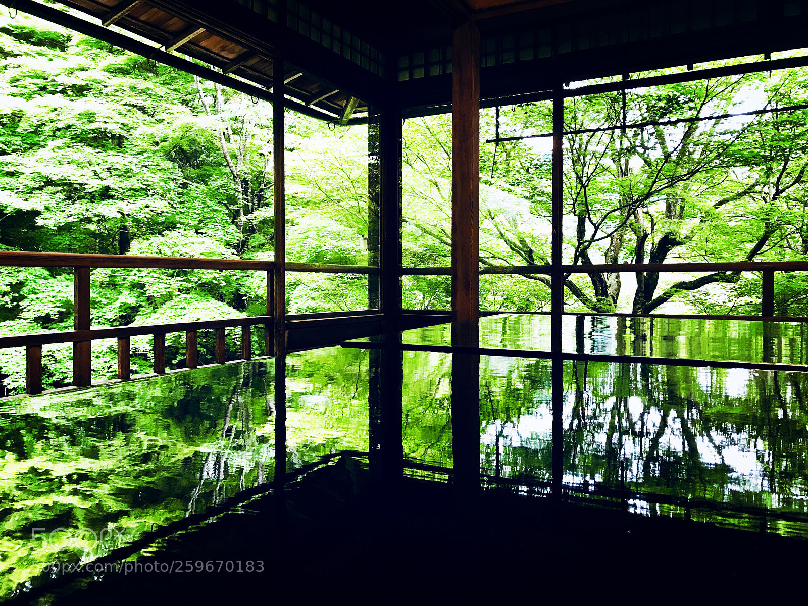 Apple iPhone 7 sample photo. Rurikoin -temple in kyoto  photography