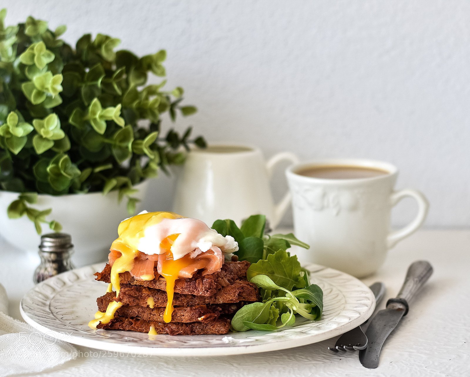 Nikon D5600 sample photo. Vegetable patties with smoked photography