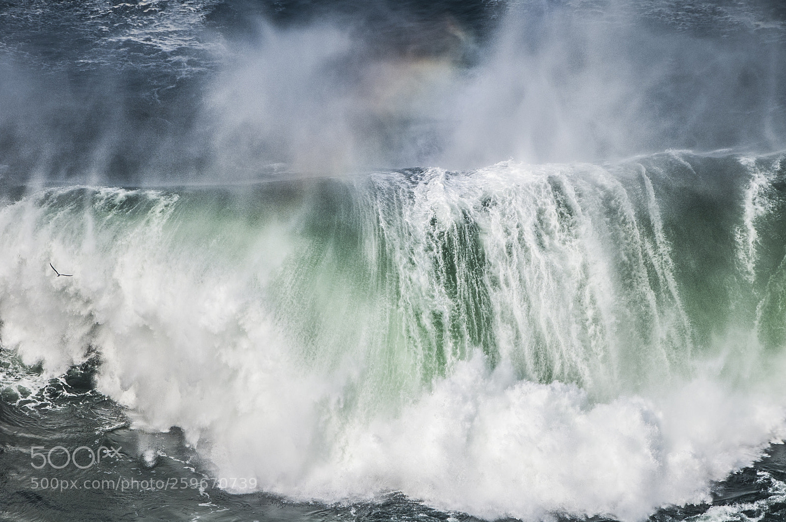 Nikon D70 sample photo. Bigwave at loop head photography