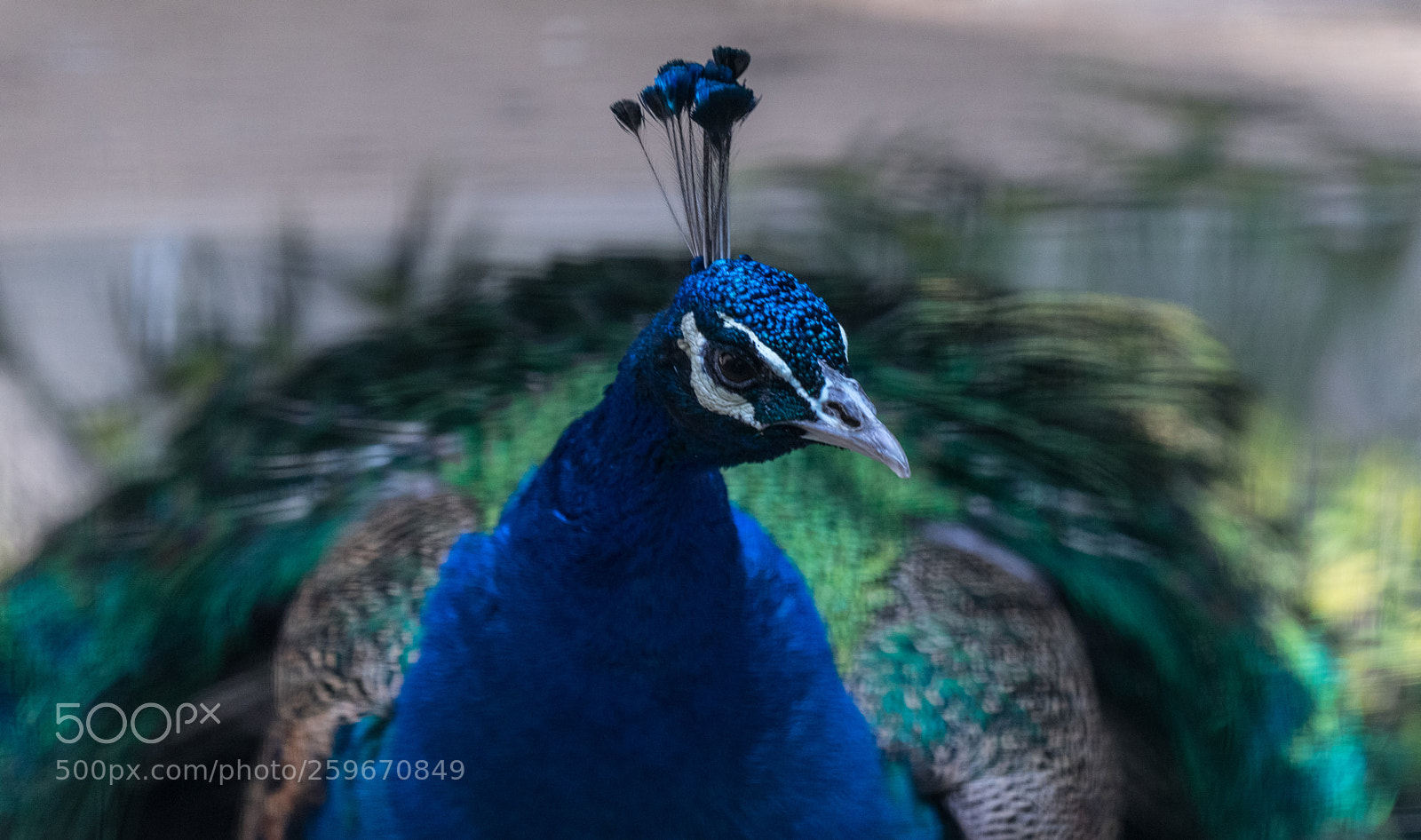 Sony a7 II sample photo. Color photography