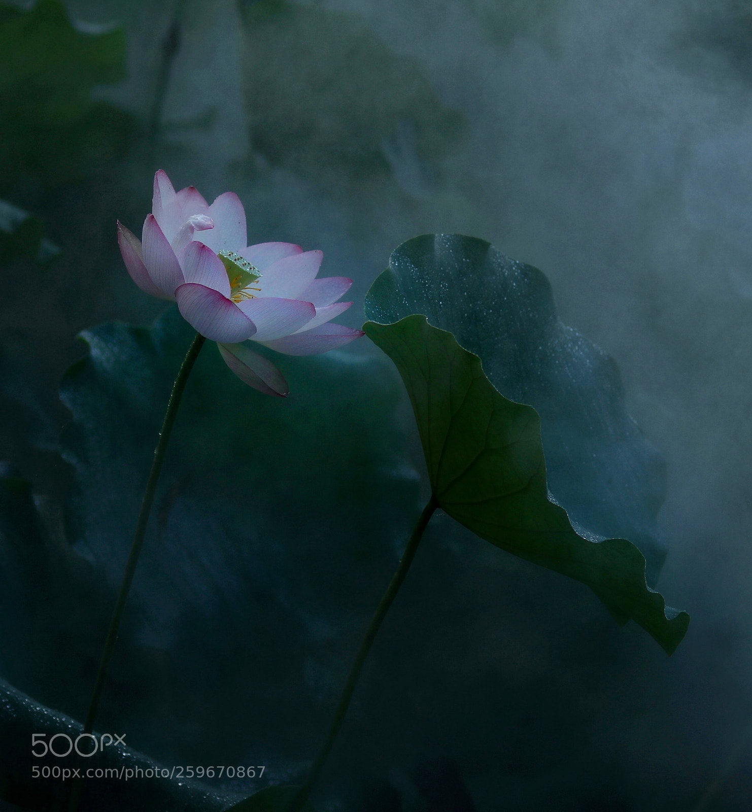 Canon EOS 5DS R sample photo. Florence photography