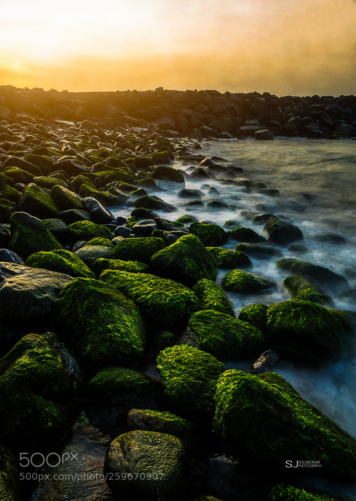Nikon D750 sample photo. Green season - ulva photography