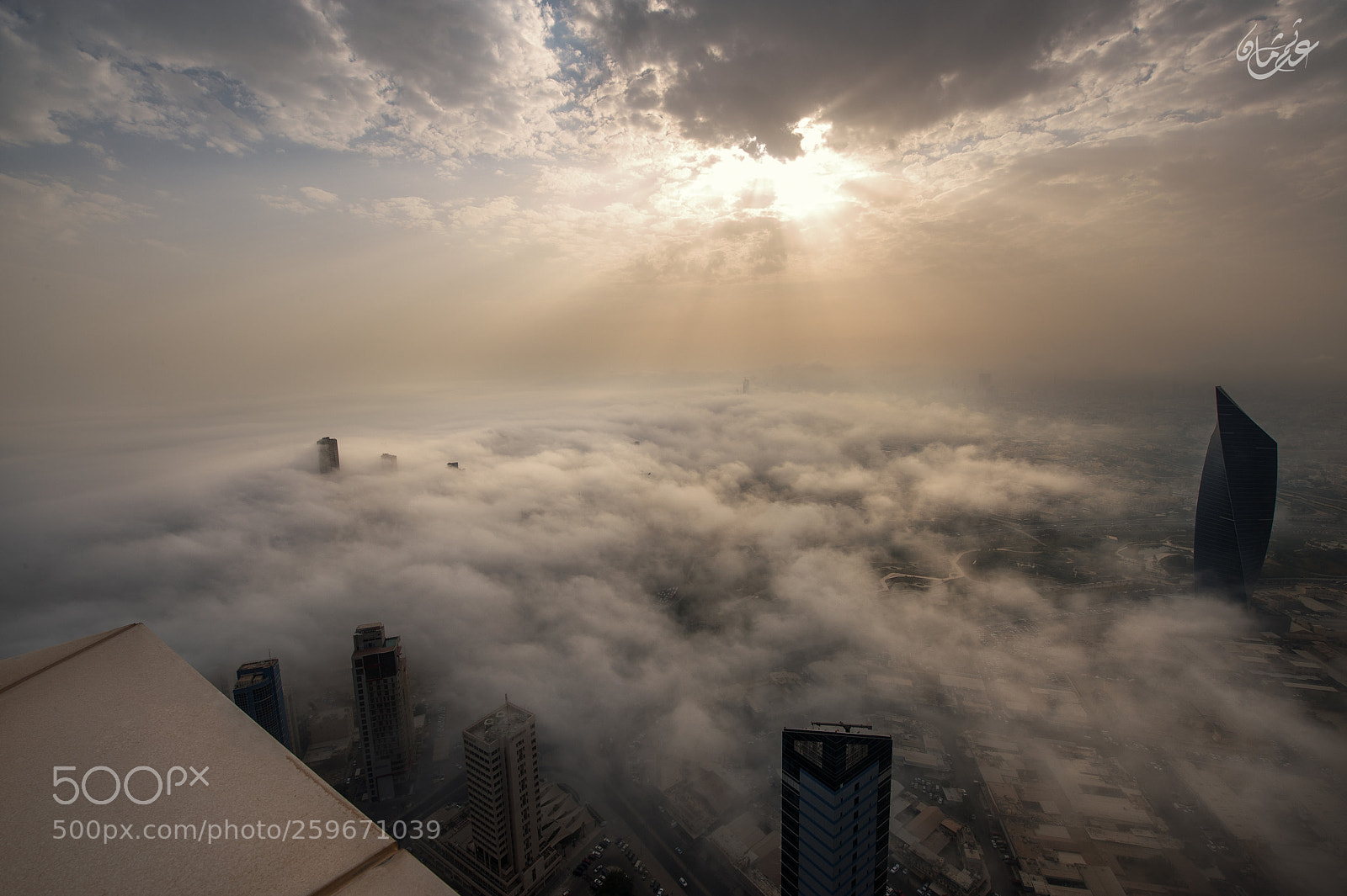 Nikon D3 sample photo. Foggy morning~ photography