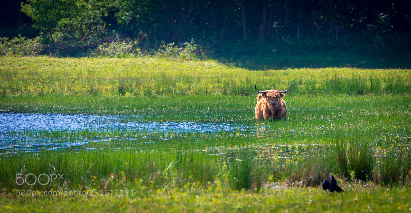 Nikon D610 sample photo. Can somebody throw me photography