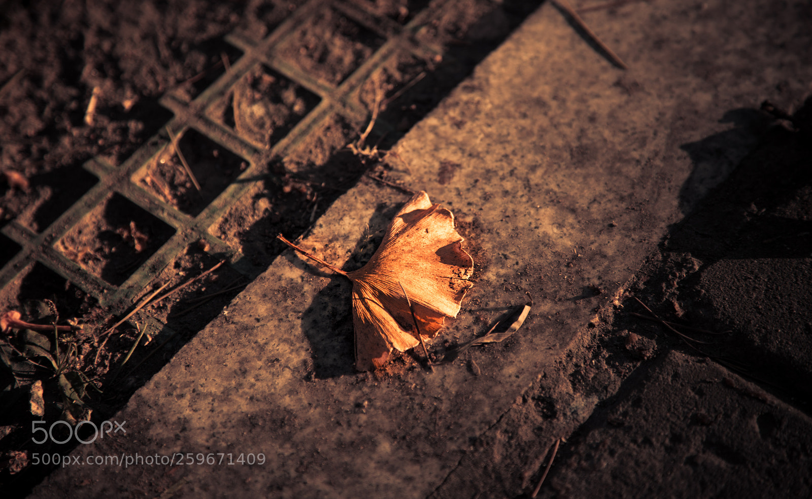 Canon EOS 5D Mark II sample photo. 6-9.jpg photography