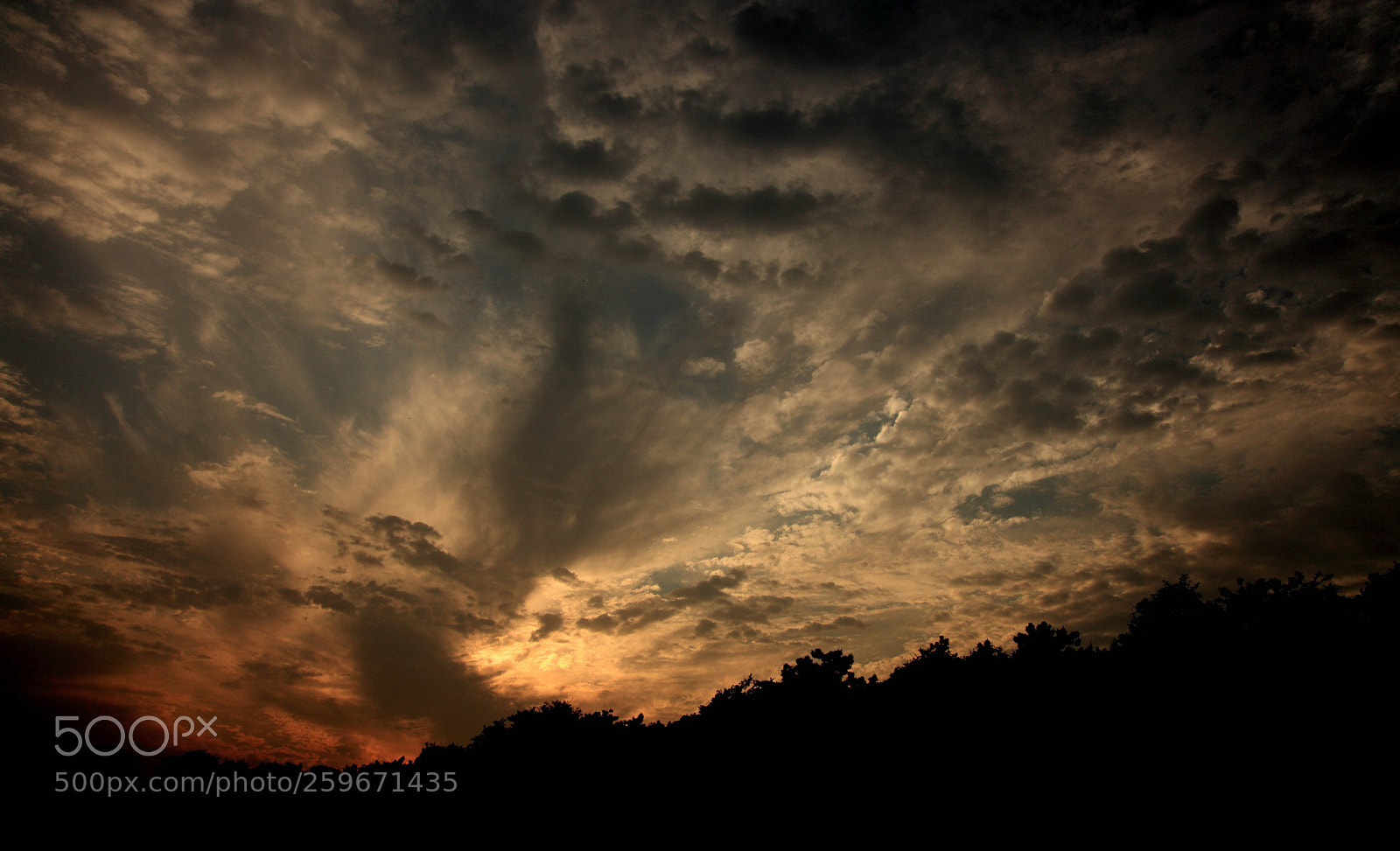Canon EOS 5D Mark II sample photo. Phoenix photography