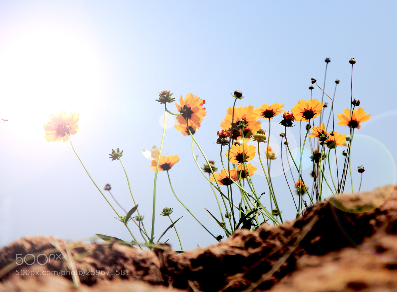 Canon EOS 5D Mark II sample photo. 6-7.jpg photography