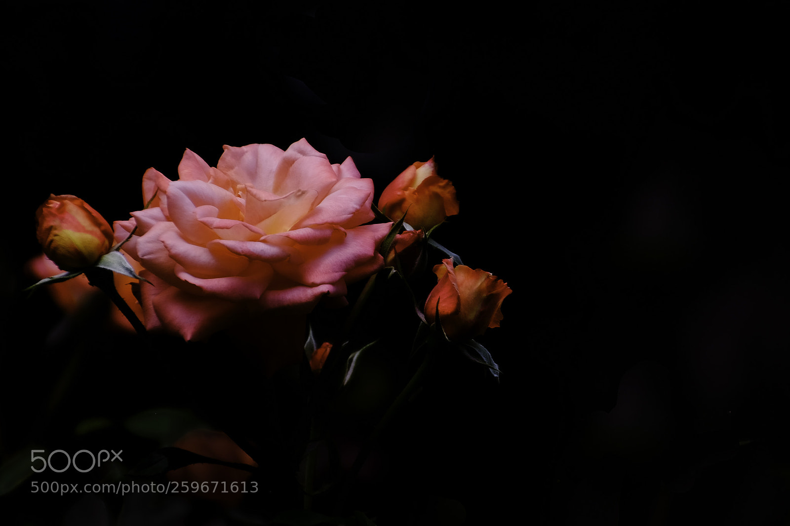 Fujifilm X-T1 sample photo. Beauty photography