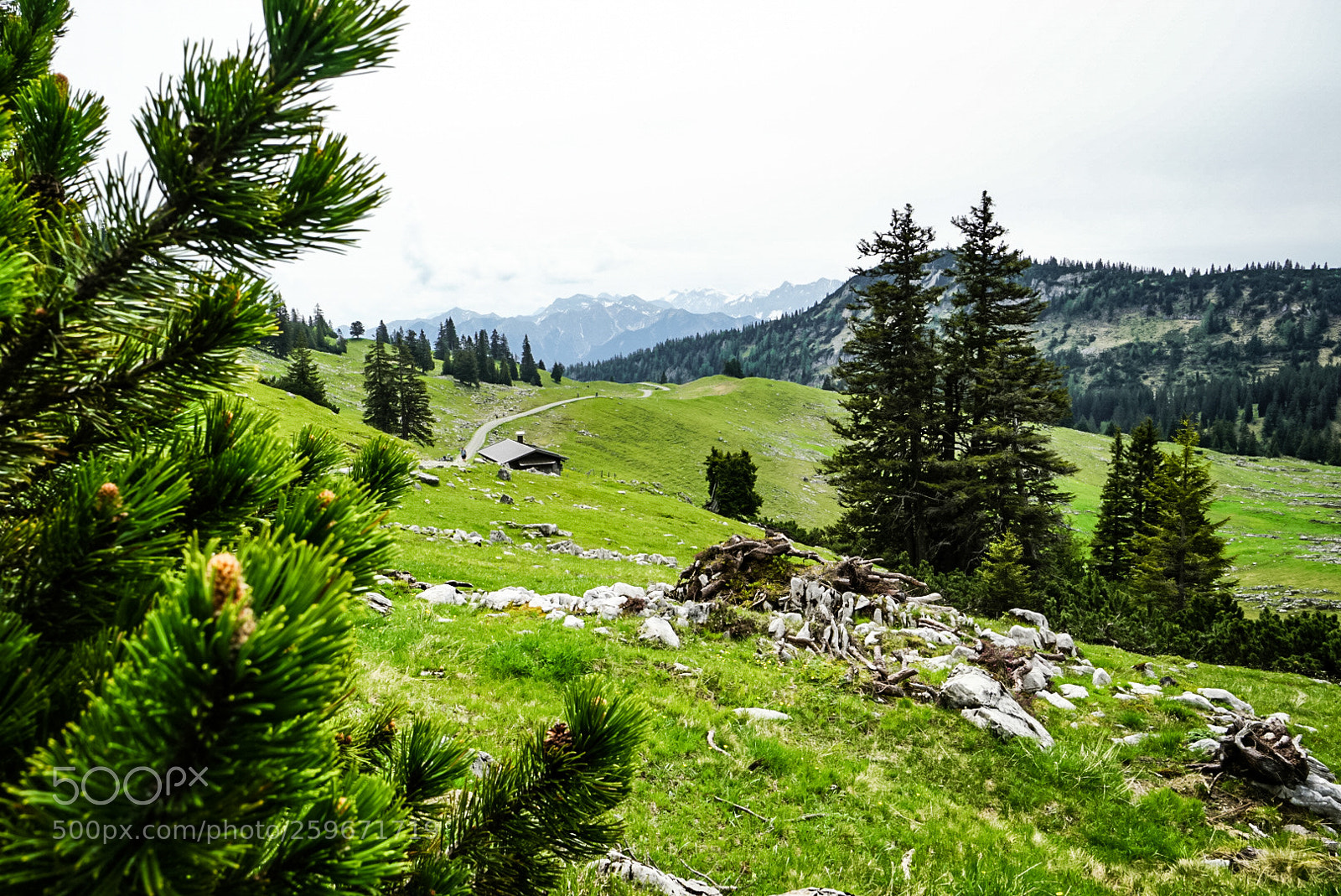 Sony a6000 sample photo. Kuhalm-estergebirge photography