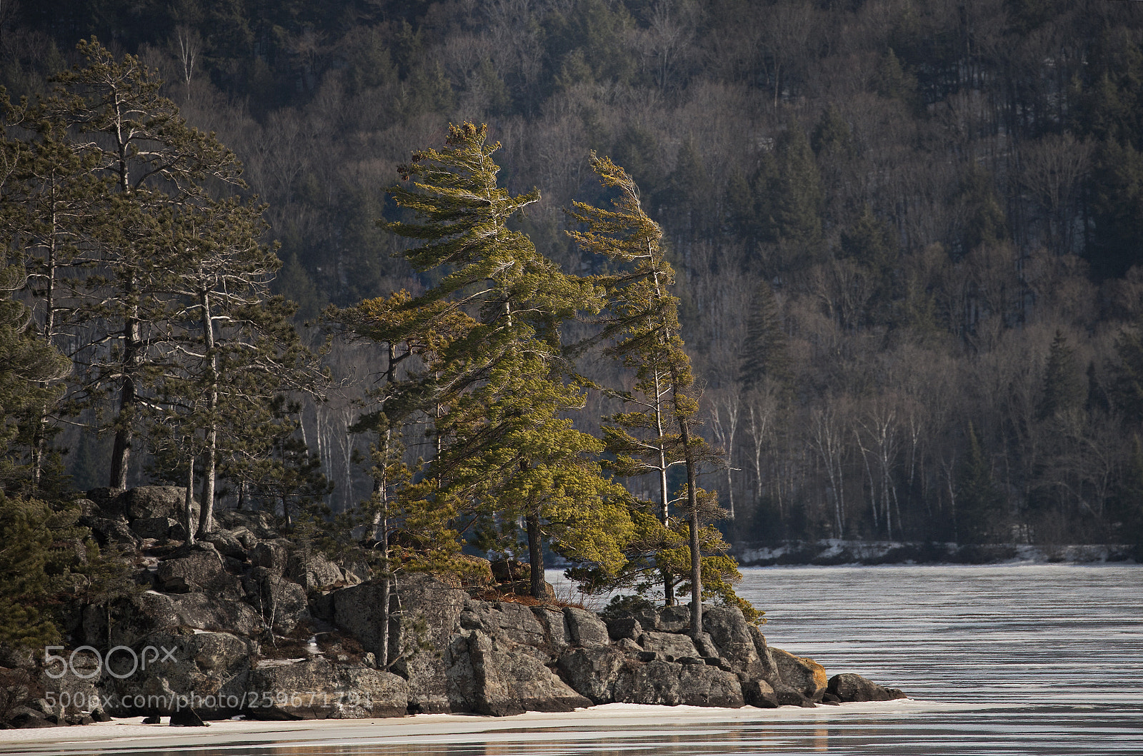 Canon EOS-1D X sample photo. Algonquin late winter 6745 photography