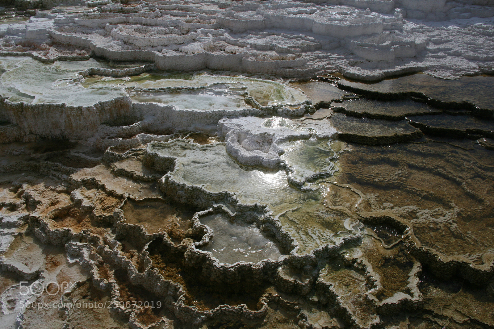 Canon EOS 30D sample photo. Mammoth hot springs above photography