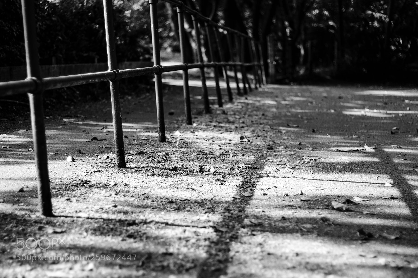 Canon EOS 650D (EOS Rebel T4i / EOS Kiss X6i) sample photo. Wirral walks (145/365) photography