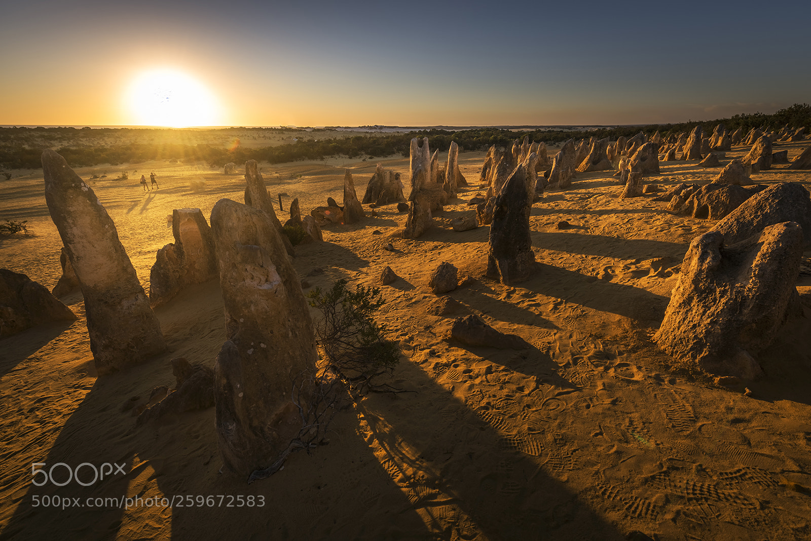 Nikon D810 sample photo. Sunset at the pinnacles photography