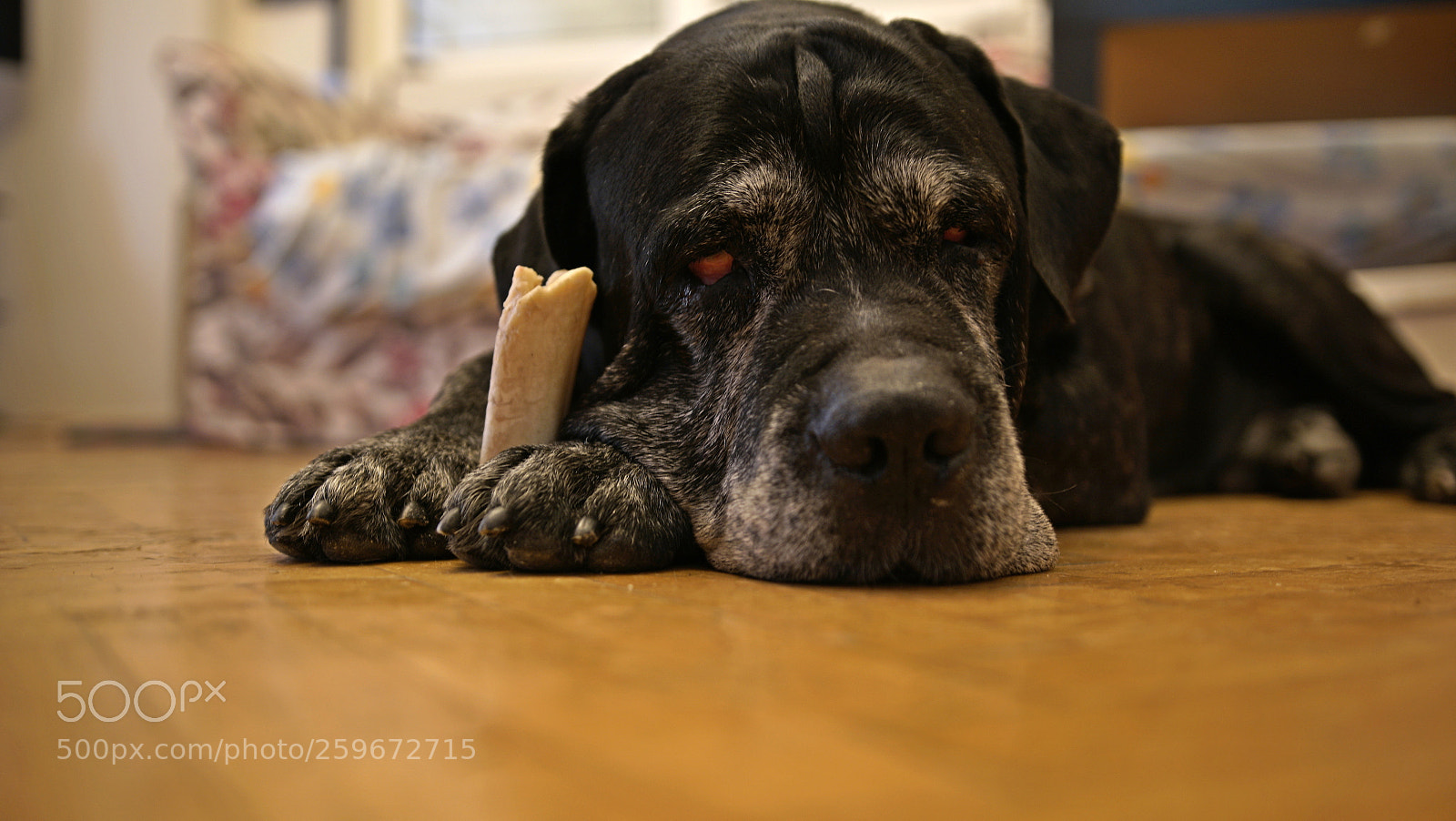 Sony a7R II sample photo. It's mine photography