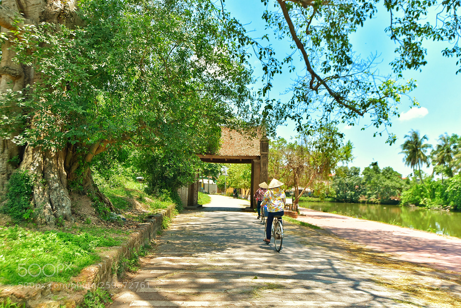 Nikon D750 sample photo. U ng l m photography