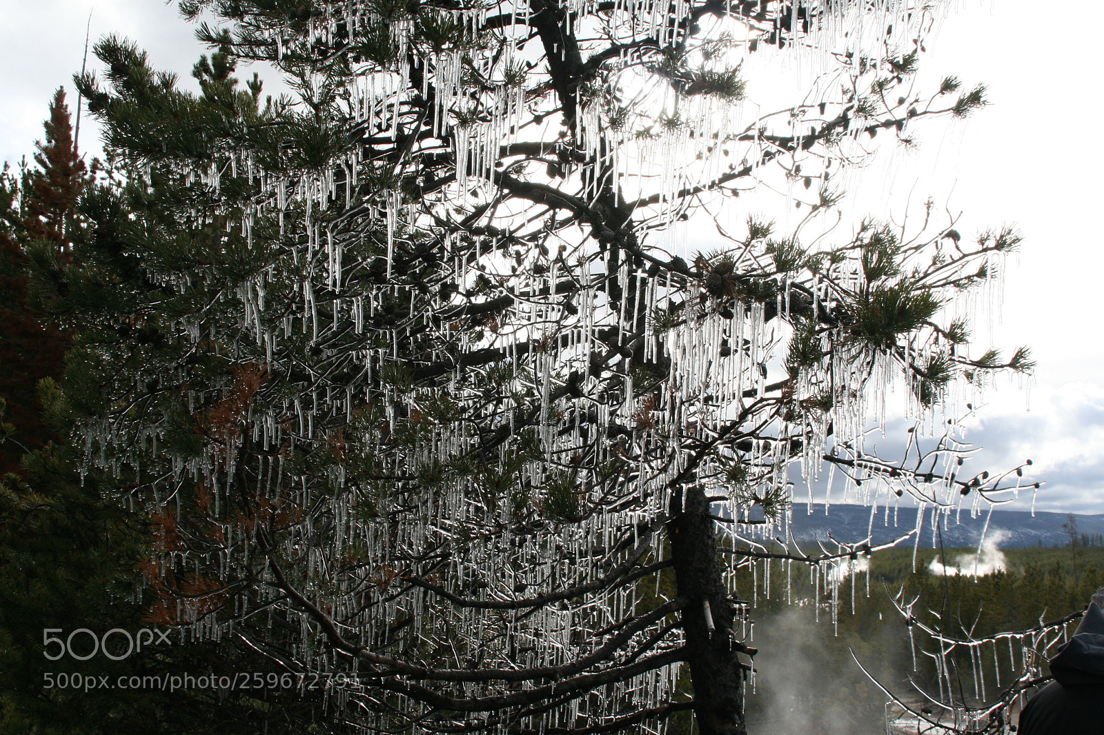 Canon EOS 30D sample photo. October icicles yellowstone photography