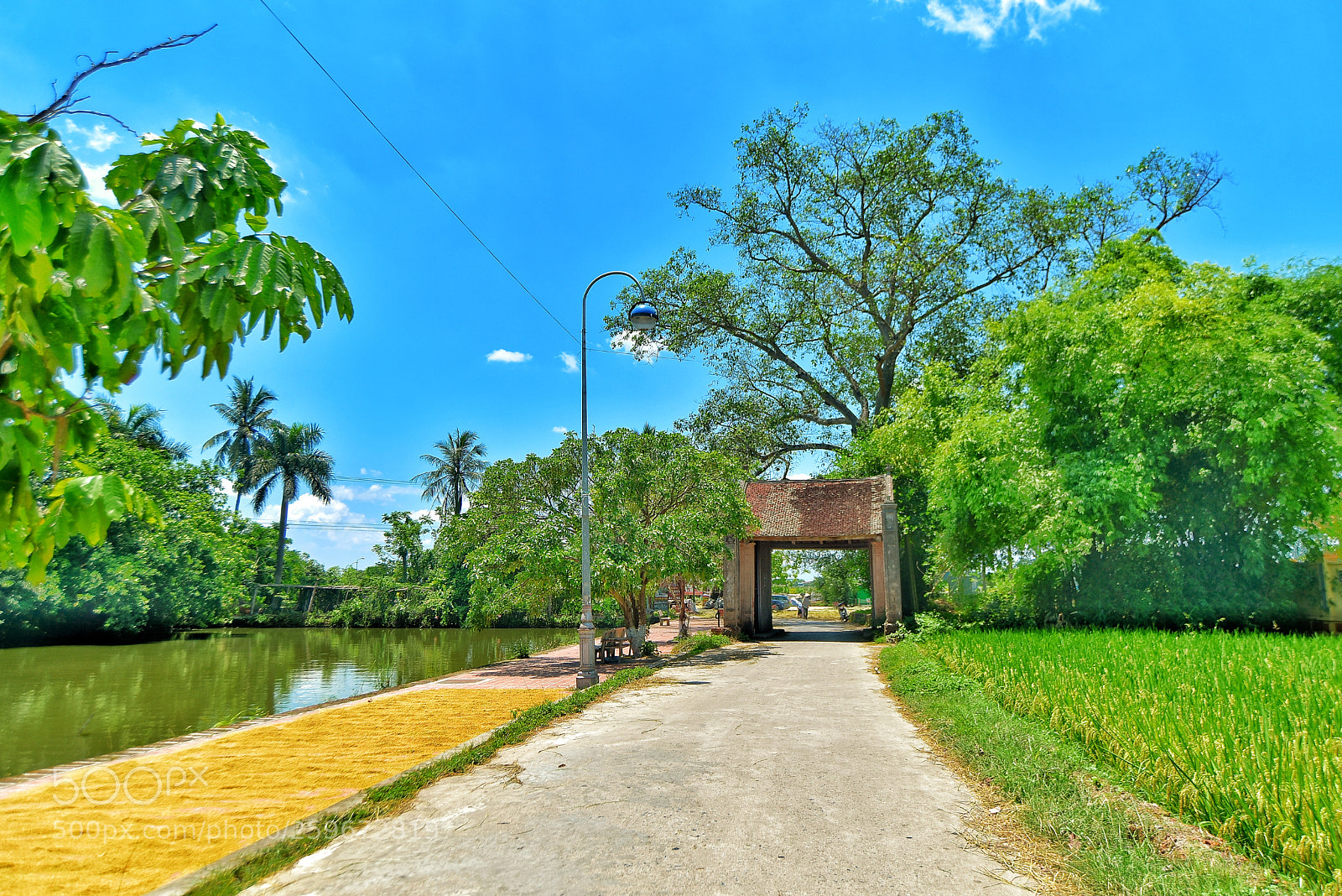 Nikon D750 sample photo. Ng l m s photography