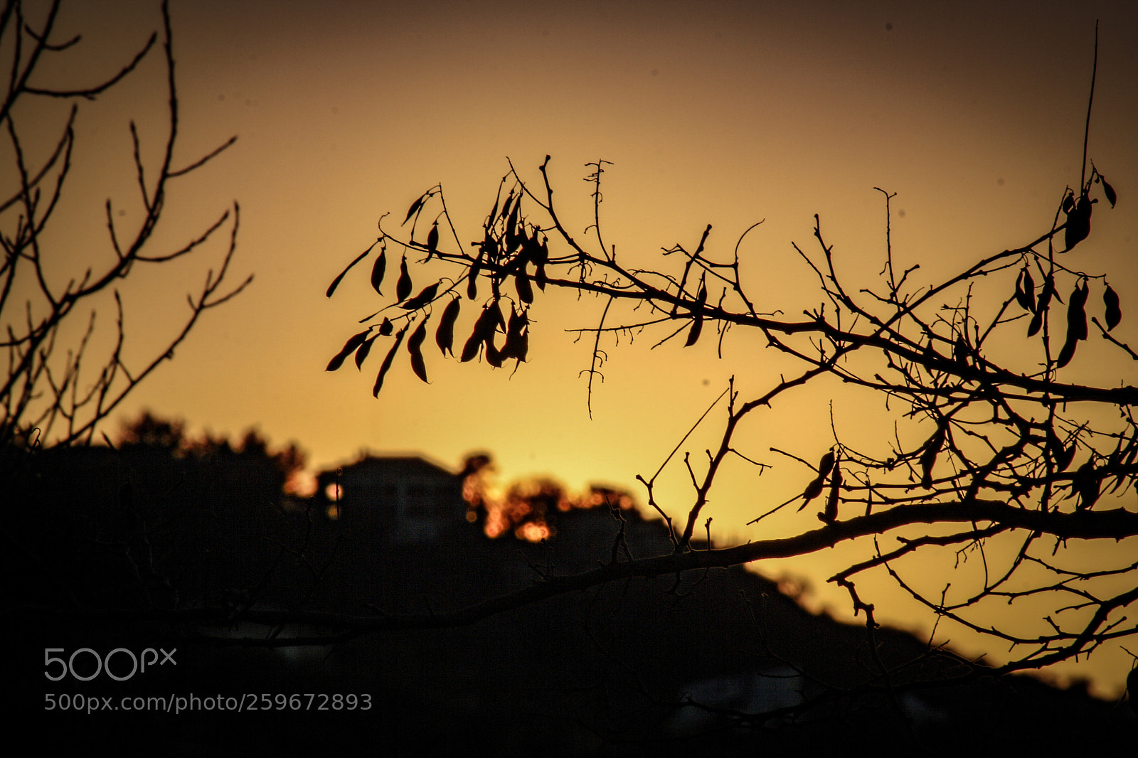 Canon EOS 1000D (EOS Digital Rebel XS / EOS Kiss F) sample photo. Winter sunset photography