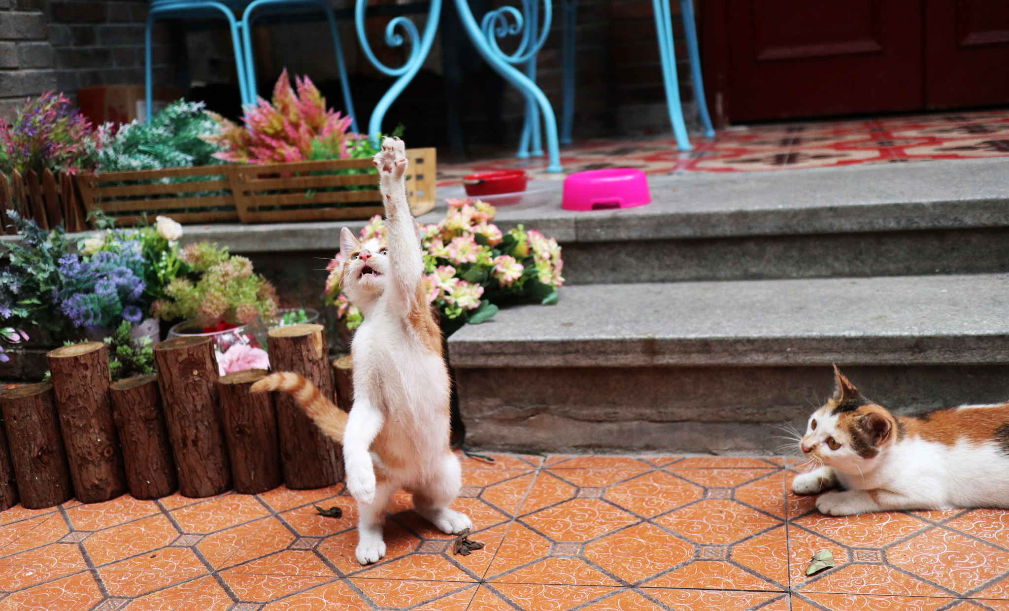 Canon EOS M100 sample photo. Img photography