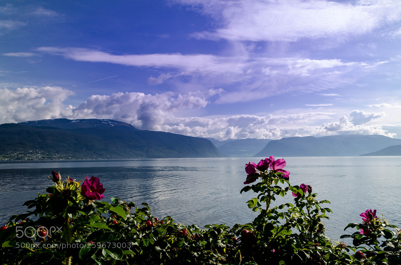 Nikon D5100 sample photo. Beauty of norway photography