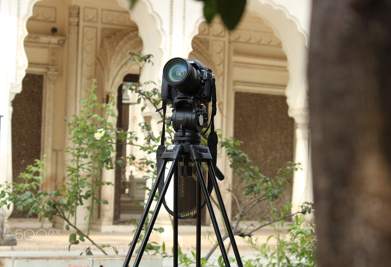 Canon EOS 700D (EOS Rebel T5i / EOS Kiss X7i) sample photo. Img photography