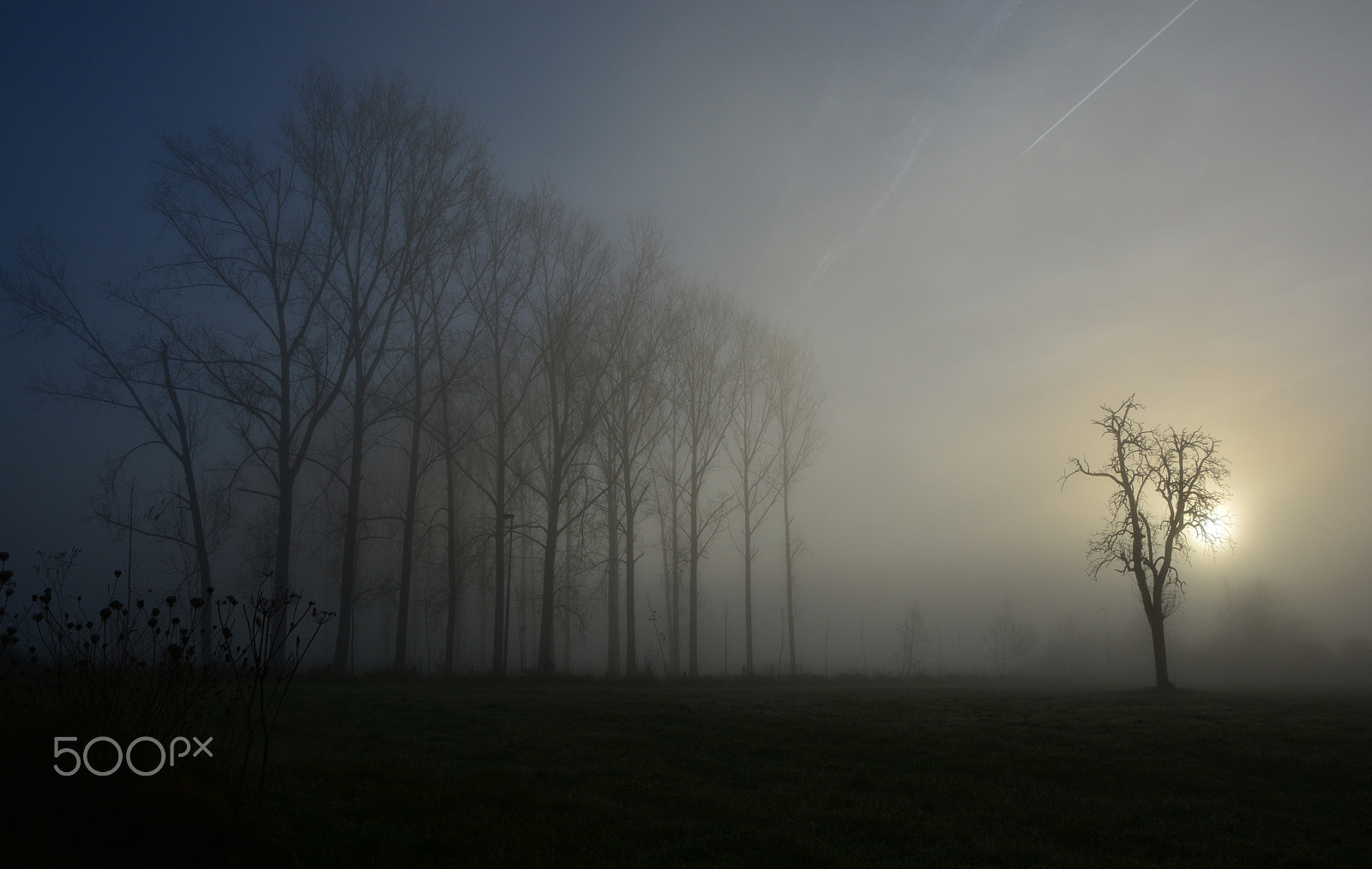 Sigma 17-50mm F2.8 EX DC OS HSM sample photo. Awakening photography