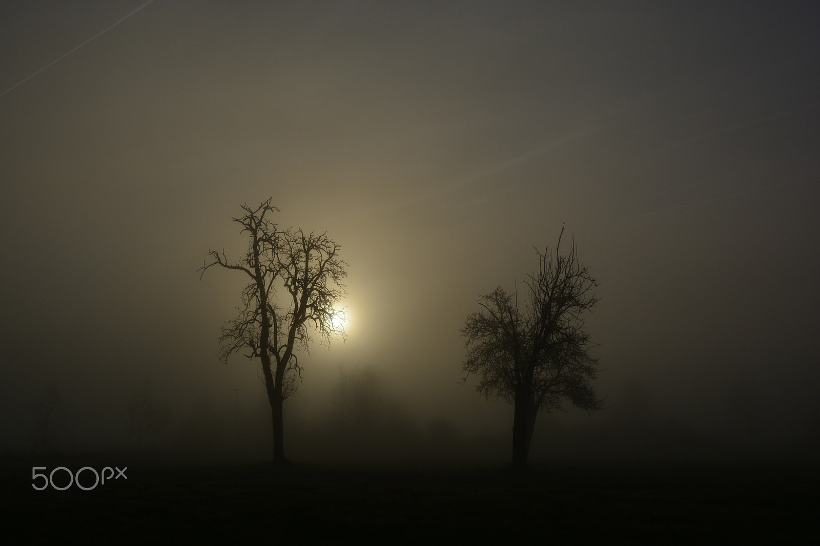 Sigma 17-50mm F2.8 EX DC OS HSM sample photo. Misty morning photography