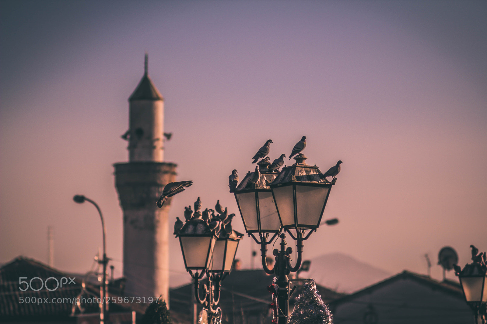Canon EOS 60D sample photo. Arab mosque sunset photography