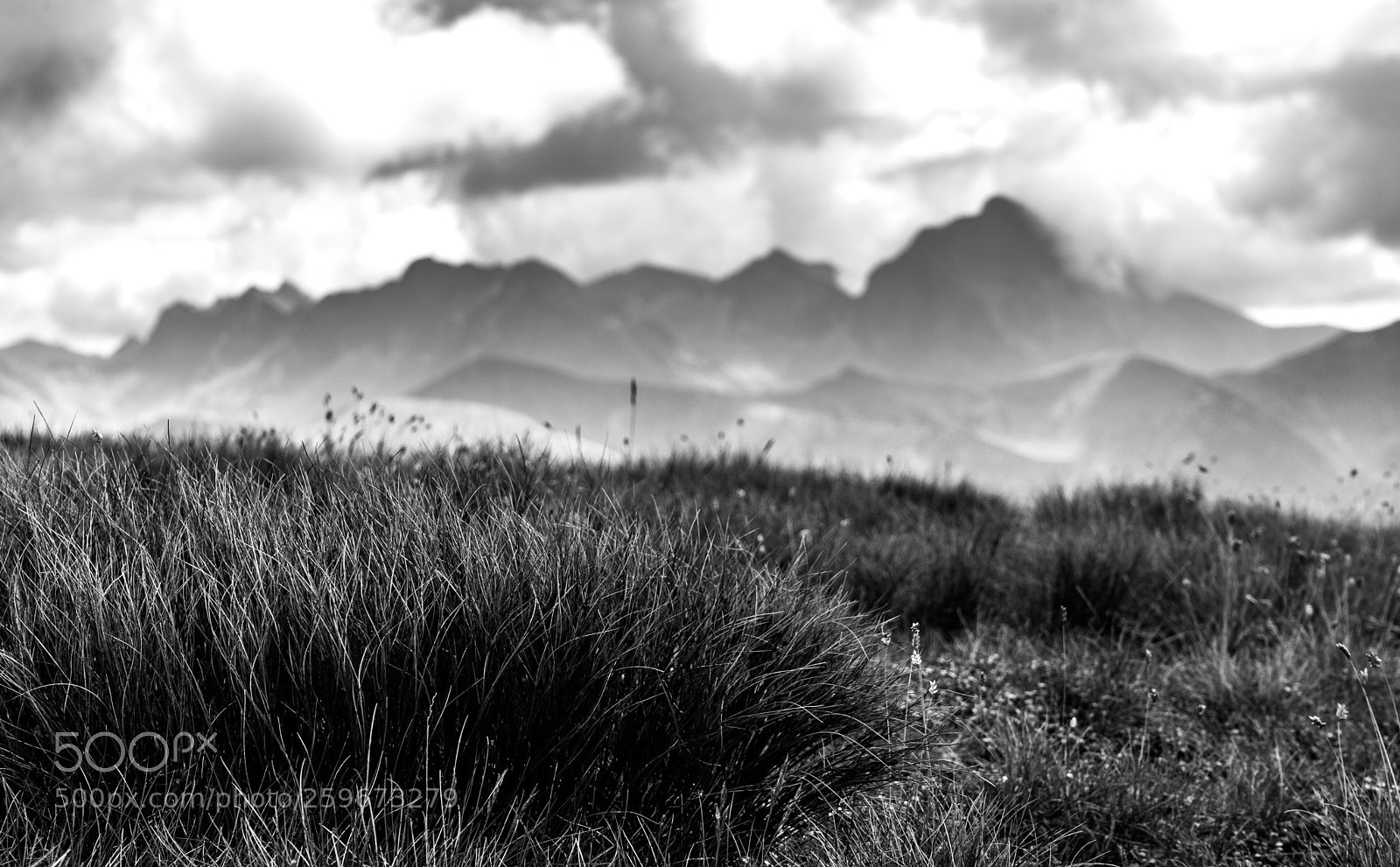 Sony a7 II sample photo. Kriváň photography