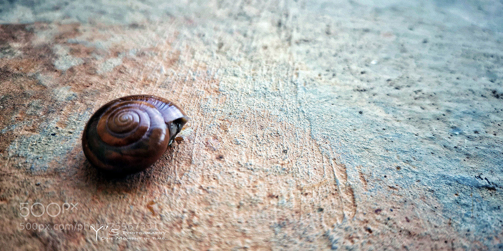 HUAWEI CLT-L29 sample photo. Spiral. 螺旋。 photography