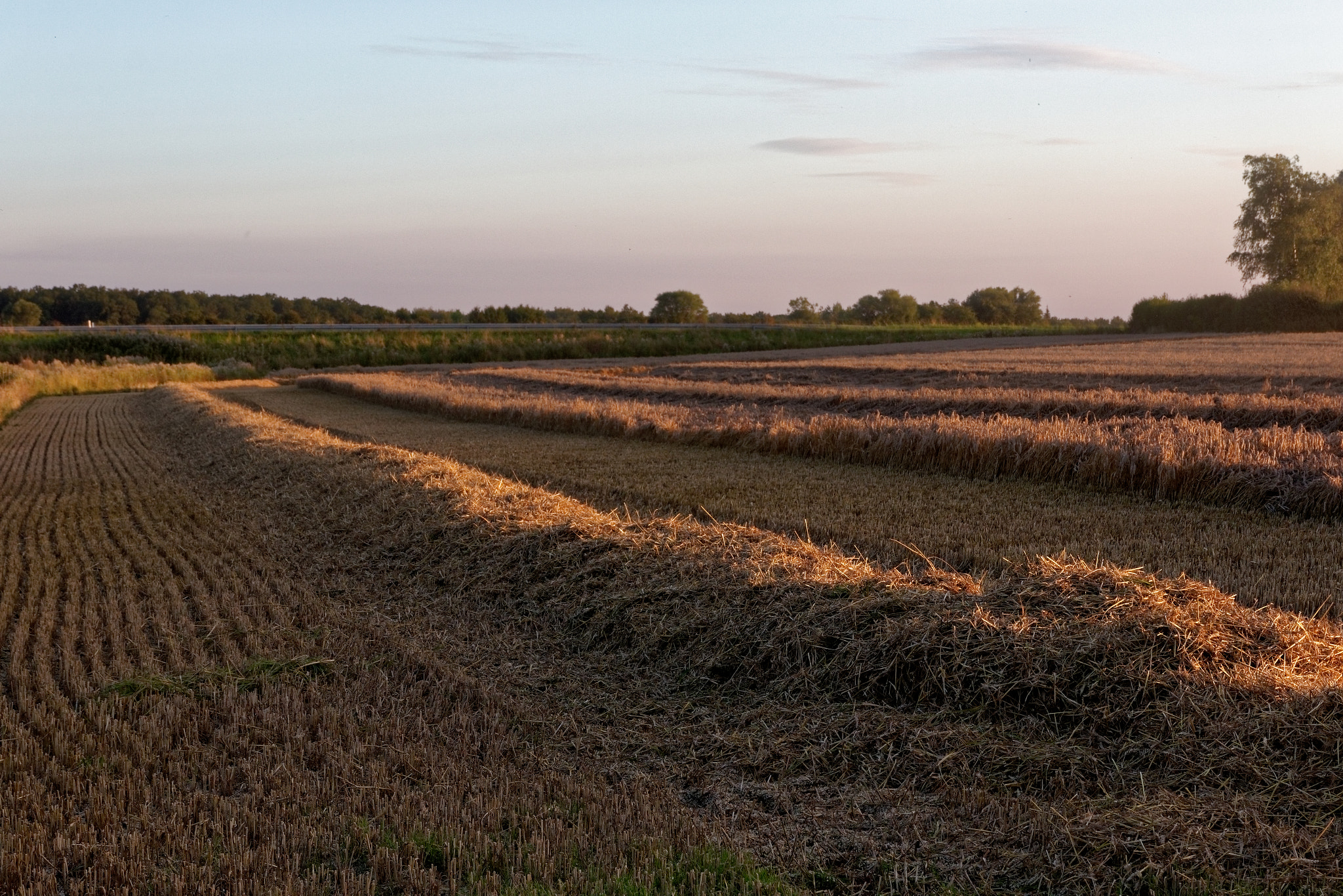 Canon EOS 7D Mark II + Canon EF-S 17-55mm F2.8 IS USM sample photo. Harvesting in denmark photography